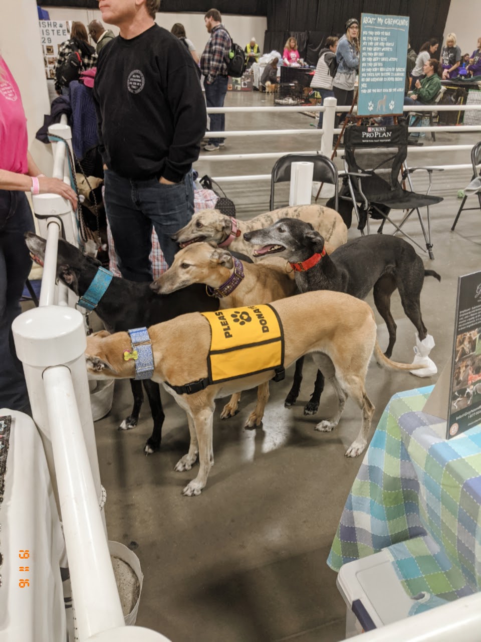 Novi Pet Expo | 46100 Grand River Ave, Novi, MI 48374, USA | Phone: (248) 348-5600 ext. 208