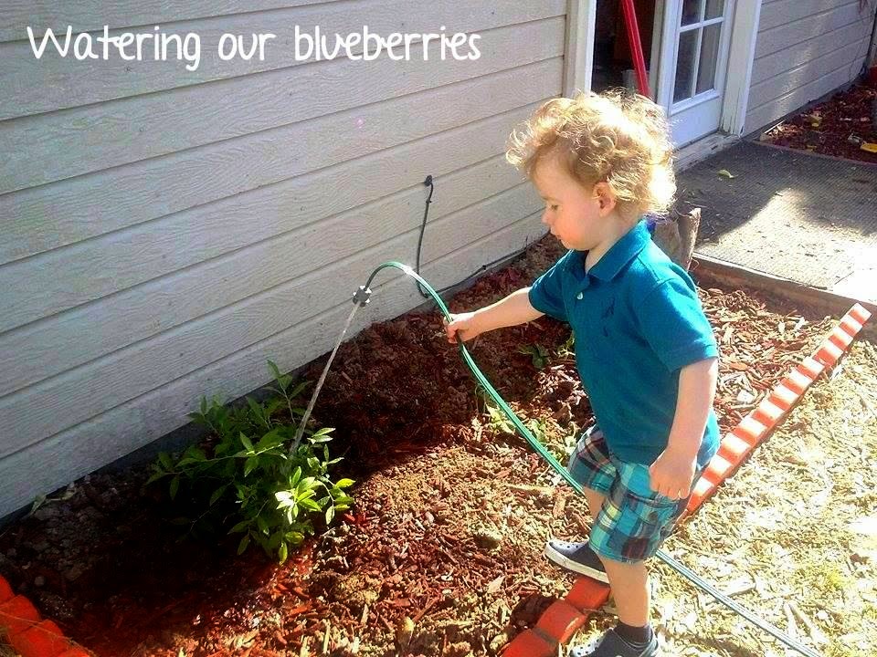 Megans Munchkins Daycare and Preschool | 343 S Westwood Blvd, Nampa, ID 83686, USA | Phone: (208) 585-8730