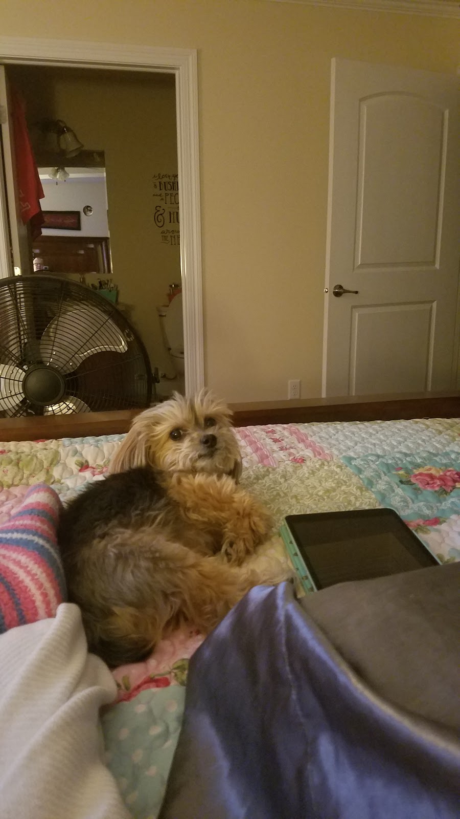 Seward Animal Hospital | 1040 South St, Seward, NE 68434, USA | Phone: (402) 643-3681