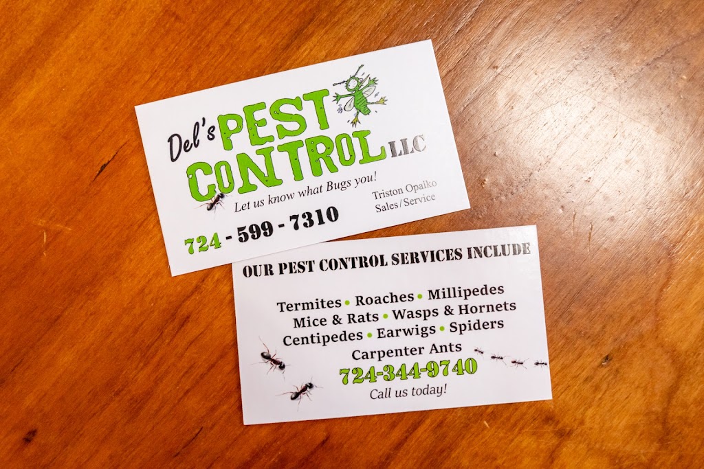 Dels Pest Control LLC. | Box 55, 120 Crest Ave, Charleroi, PA 15022, USA | Phone: (724) 344-9740