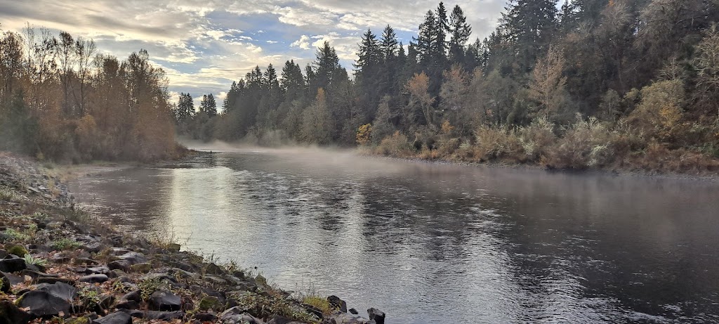 Bison Country RV Park | 21818 S Bakers Ferry Rd, Oregon City, OR 97045, USA | Phone: (971) 601-6160