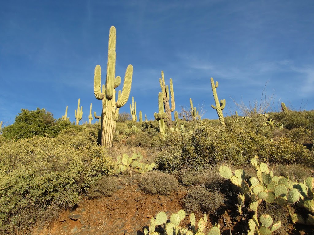 The Ranch at Desert Mountain | Scottsdale, AZ 85262, USA | Phone: (480) 595-4000