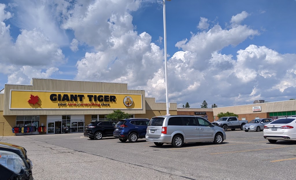 Giant Tiger | 215 Talbot St E, Leamington, ON N8H 3X5, Canada | Phone: (519) 326-0218