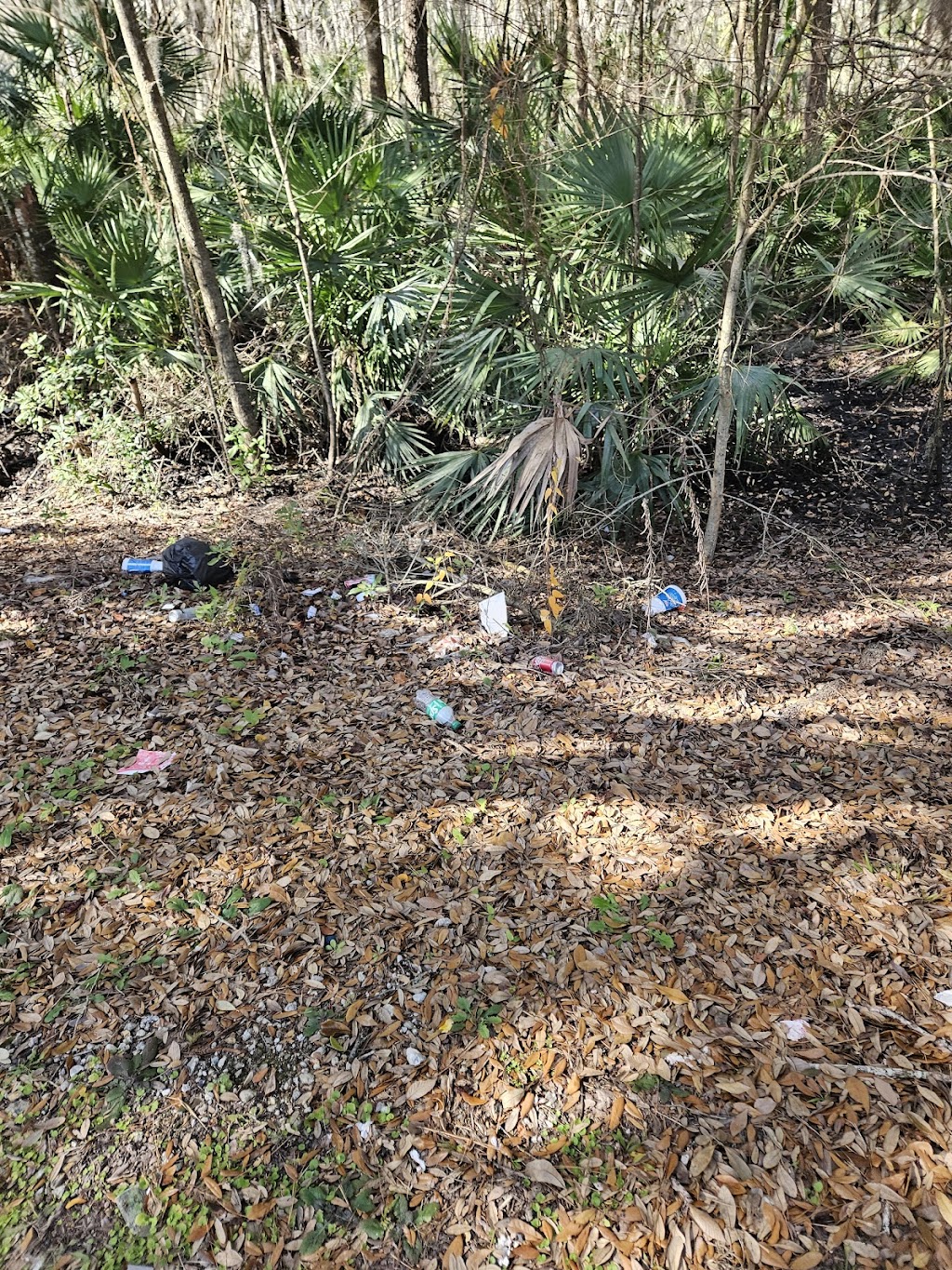 Amelia Coastal Realty | 608 S 8th St, Fernandina Beach, FL 32034, USA | Phone: (904) 261-2770