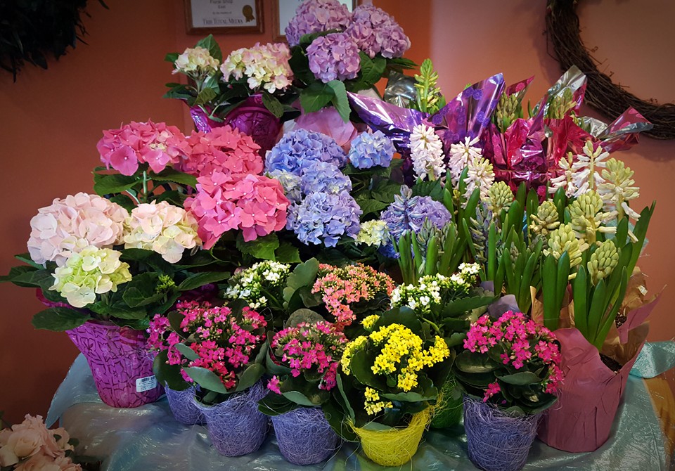 Forever Greene Flowers Inc | 7621-B Saltsburg Rd, Plum, PA 15239, USA | Phone: (412) 795-4277