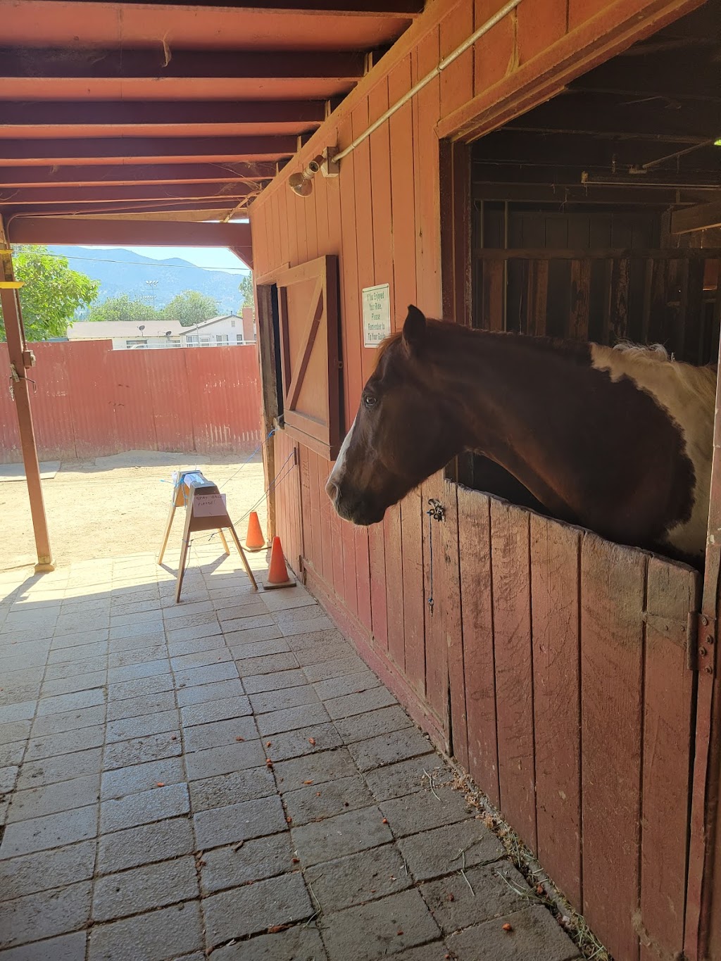 Griffith Park Horse Rentals | 1820 Riverside Dr, Glendale, CA 91201, USA | Phone: (818) 840-8401