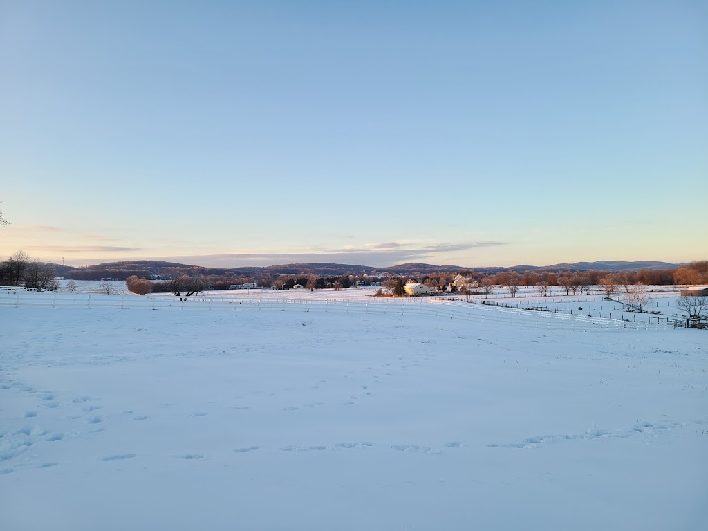 Topline Equestrian Center | 4501 Cap Stine Rd, Frederick, MD 21703 | Phone: (301) 331-4700