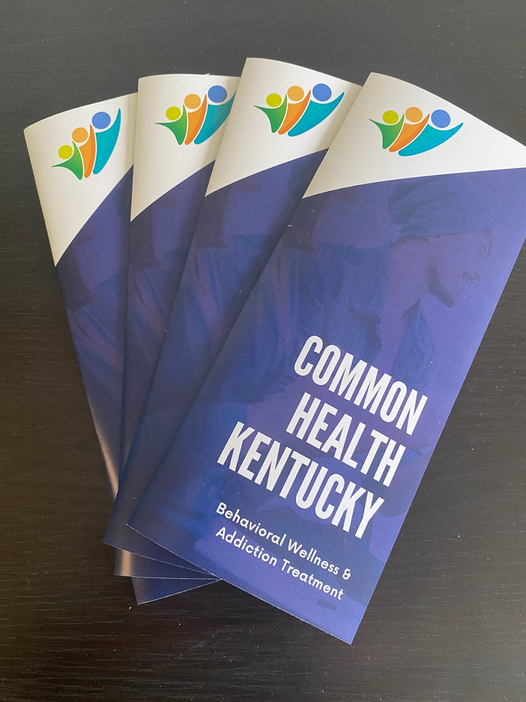 CommonHealth Recovery | 1604 Louisville Rd, Frankfort, KY 40601, USA | Phone: (502) 661-1444