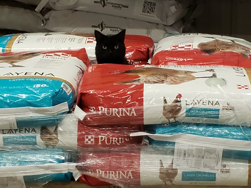 River Feeds | 1540 WI-65, New Richmond, WI 54017, USA | Phone: (715) 603-4026