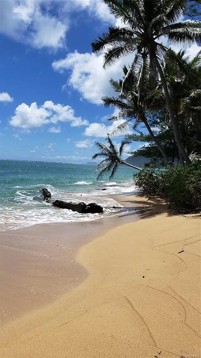 Sterman Realty | 66-250 Kamehameha Hwy suite d-100, Haleiwa, HI 96712, USA | Phone: (808) 637-6200