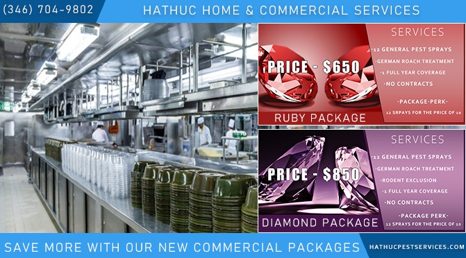 Hathuc Home & Commercial Services | 1510 Prairie Grove Dr, Houston, TX 77077, USA | Phone: (281) 752-1256