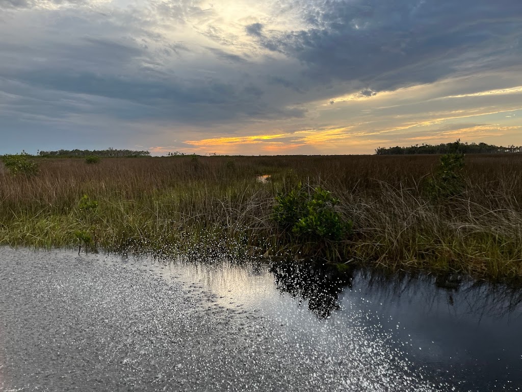 Bayport Airboat Tours | 8092 Marys Fish Camp Rd, Spring Hill, FL 34607, USA | Phone: (352) 361-0731