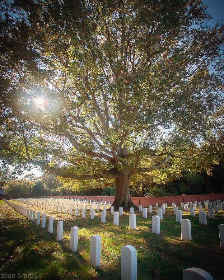 Hampton National Cemetery | 1 Cemetery Rd, Hampton, VA 23669, USA | Phone: (757) 723-7104