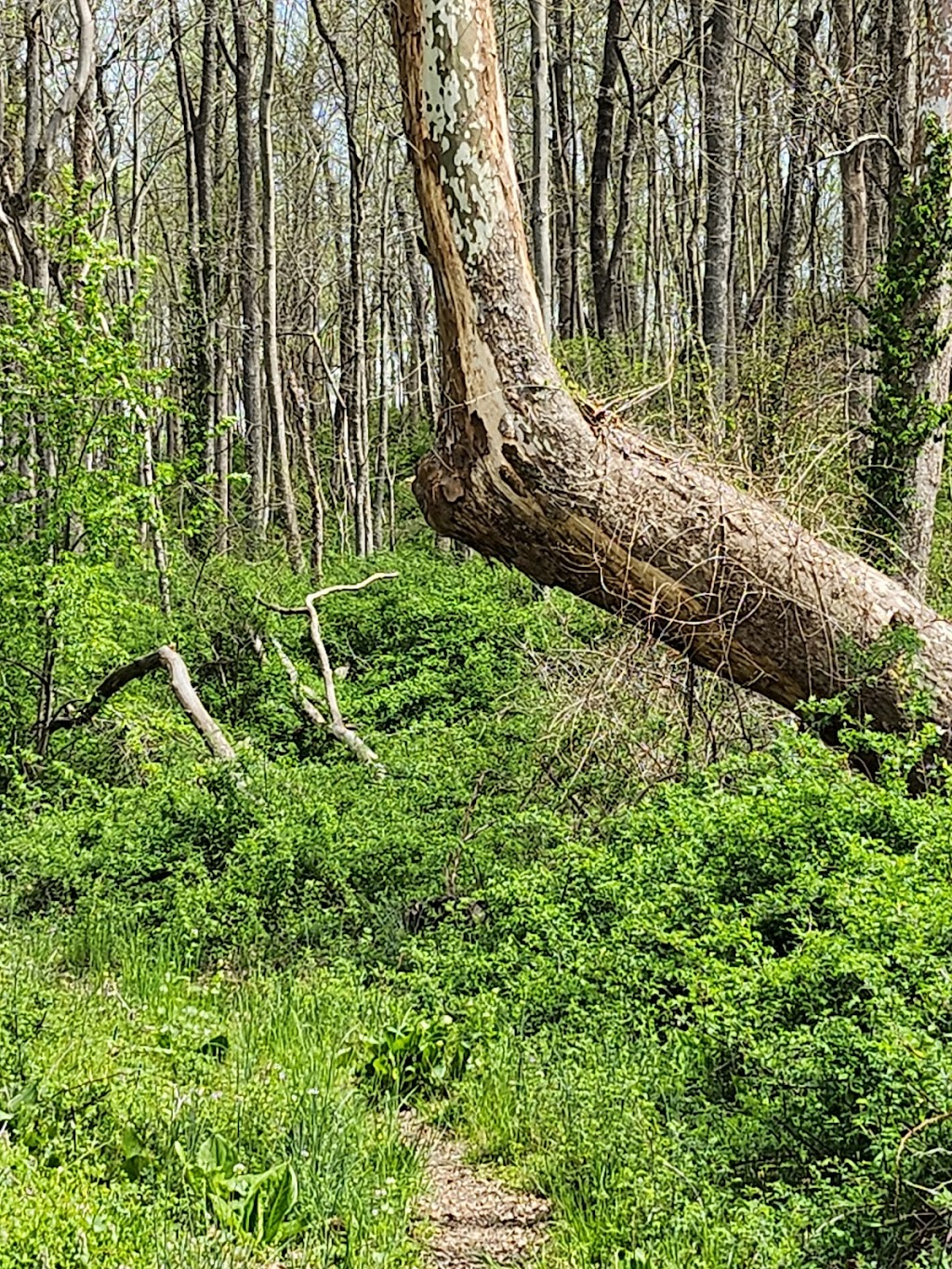 Jennings Chapel Parking, Patuxent River State Park | Woodbine, MD 21797, USA | Phone: (301) 924-2127