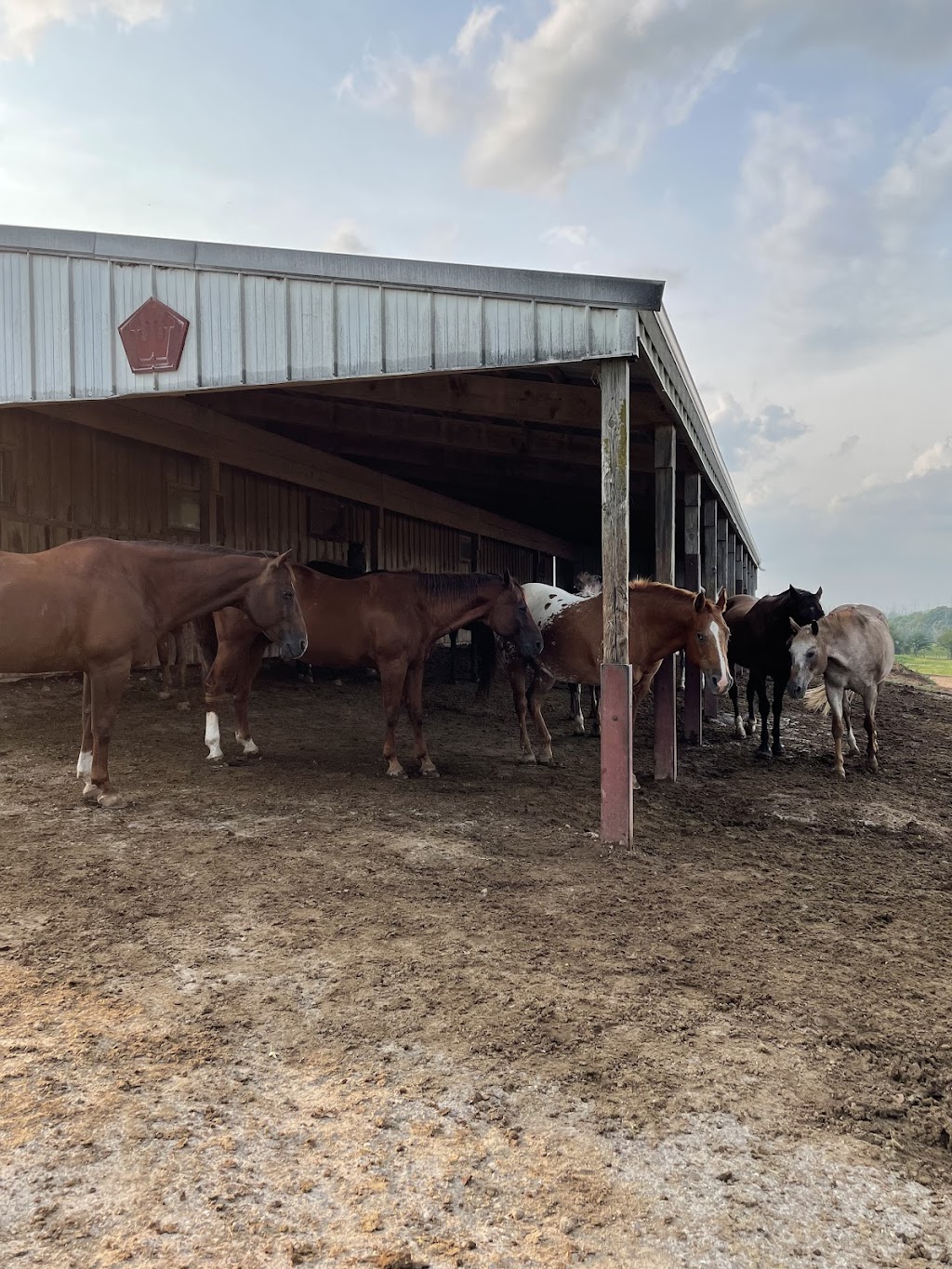 Appy Orse Acres | 1360 Willow Rd, Fredonia, WI 53021, USA | Phone: (262) 692-9144