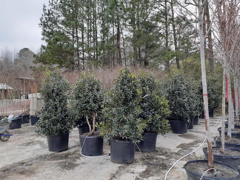 Southern Oak Nursery & Supply Co. (wholesale To Trade Only) | 2609 Marks Creek Rd #8236, Knightdale, NC 27545 | Phone: (919) 373-8181