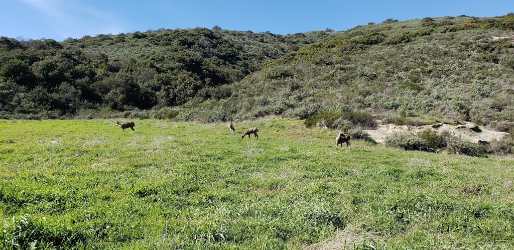 Aliso And Wood Canyons Wilderness Park Visitor Center | 28373 Alicia Pkwy, Laguna Niguel, CA 92677, USA | Phone: (949) 923-2200