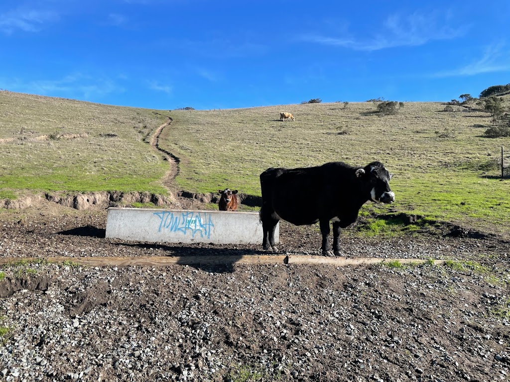 Wildcat Canyon Regional Park | 5755 McBryde Ave, Richmond, CA 94805, USA | Phone: (888) 327-2757