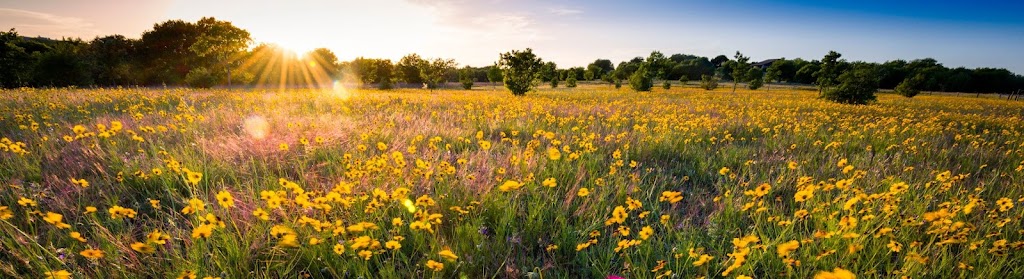 Princeton Trails Townhomes | 1400 Tulip Dr, Princeton, TX 75407, USA | Phone: (469) 343-4767