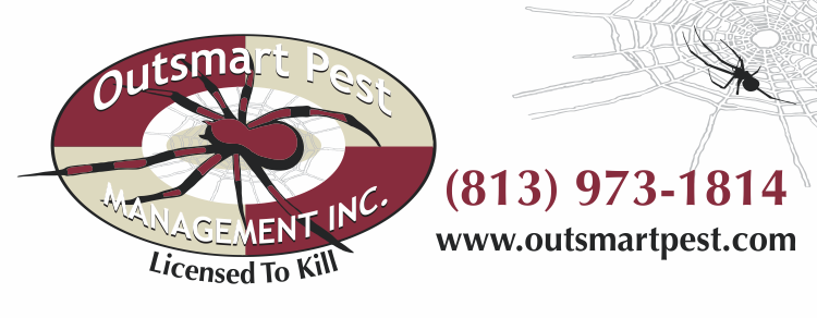 Outsmart Pest Management | 4814 Parkway Blvd, Land O Lakes, FL 34639 | Phone: (813) 973-1814