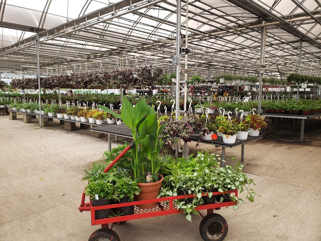 Gaskos Family Farm and Greenhouses | 112 Federal Rd, Monroe Township, NJ 08831, USA | Phone: (732) 446-9205