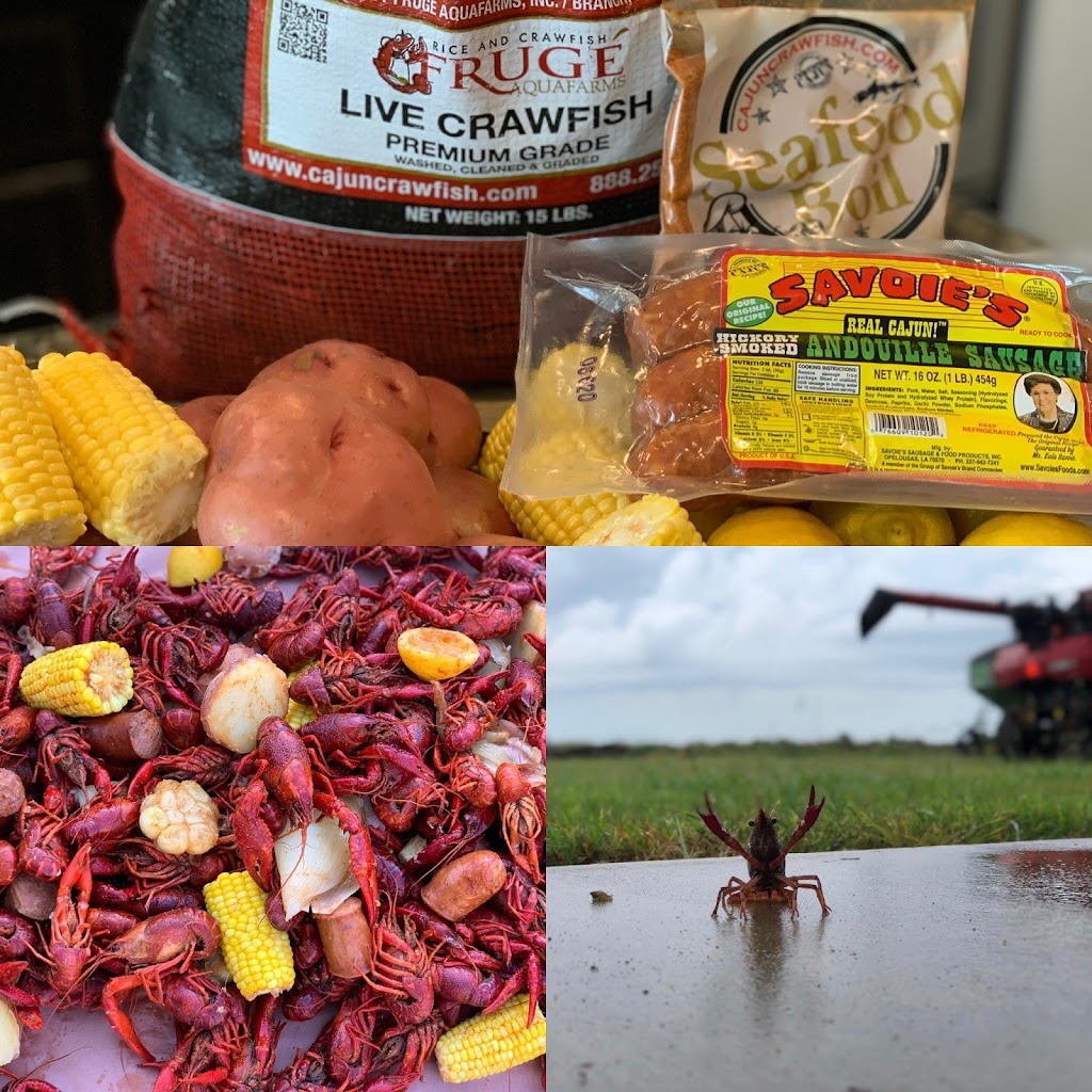 The Crawfish Dude SA | 15000 TX-46 #D, Spring Branch, TX 78070, USA | Phone: (830) 515-4168