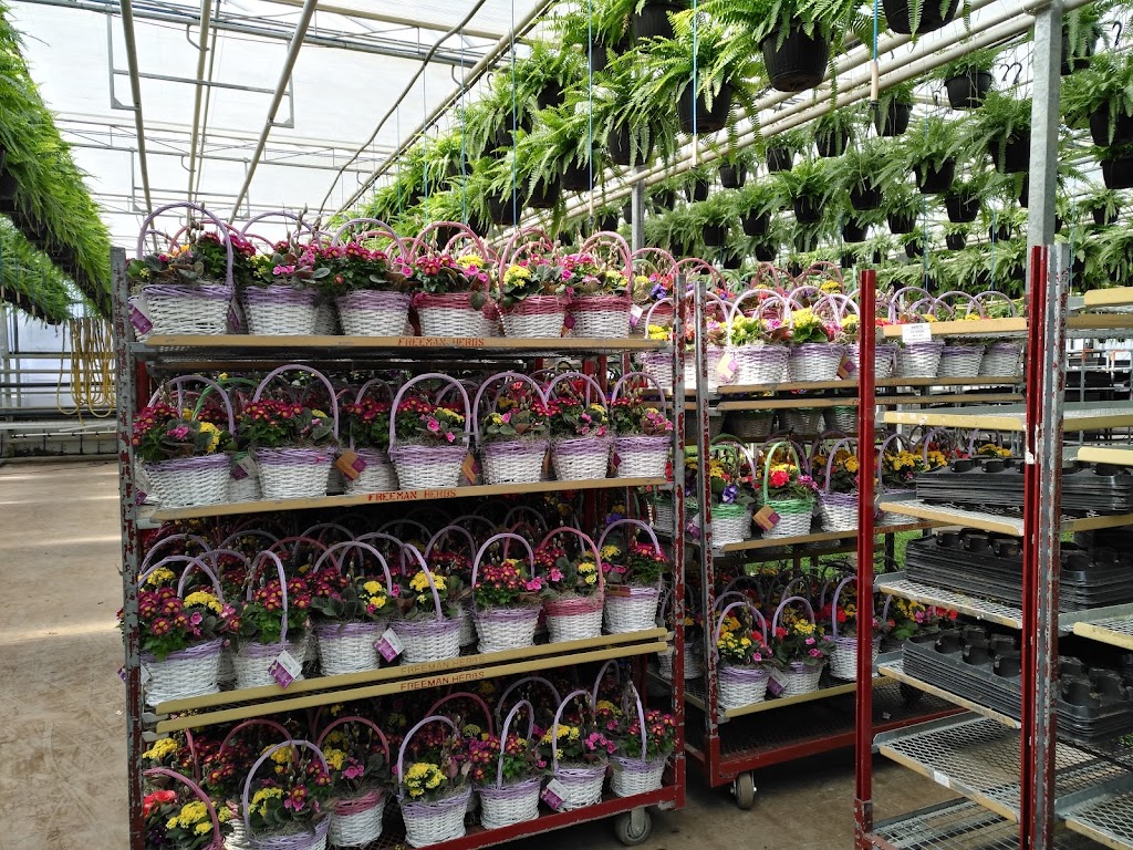 Hendriks Andrew & Sons Greenhouses Inc | 5095 N Service Rd, Beamsville, ON L0R 1B3, Canada | Phone: (905) 563-8132