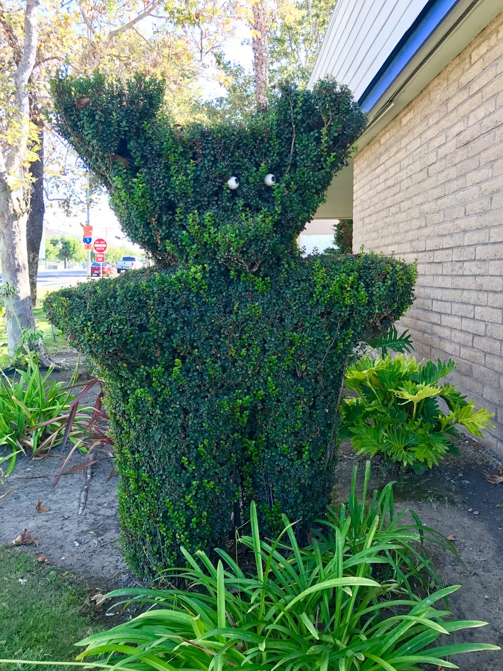 California Highway Patrol | 32951 Camino Capistrano, San Juan Capistrano, CA 92675, USA | Phone: (949) 487-4000