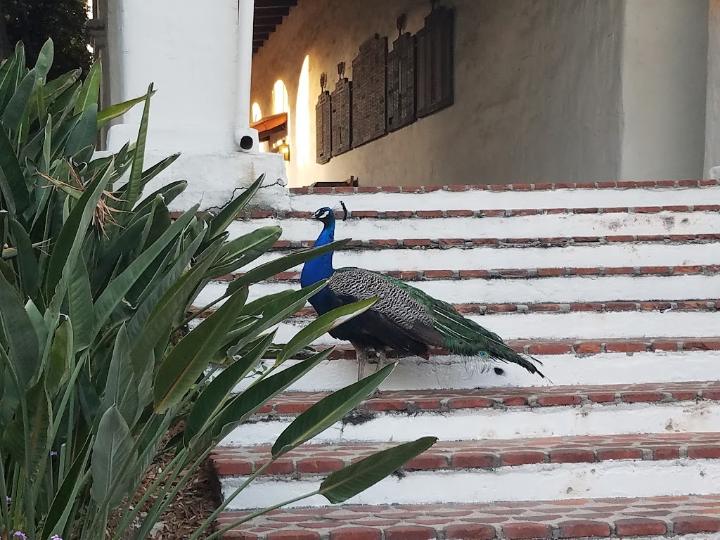 Pasadena Jewish Temple & Center | 1434 N Altadena Dr, Pasadena, CA 91107, USA | Phone: (626) 798-1161