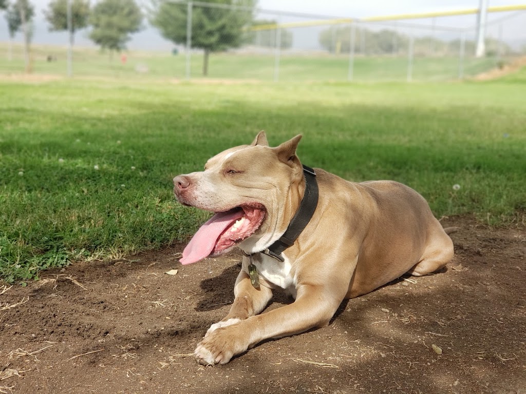 Porterville Dog Park | 2075 W Scranton Ave, Porterville, CA 93257, USA | Phone: (559) 791-7695