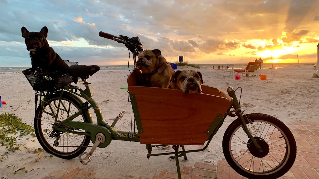 Rad Bikes, Beach, Surf and Rentals | 18131 Gulf Boulevard Unit BB, Redington Shores, FL 33708, USA | Phone: (727) 754-4940