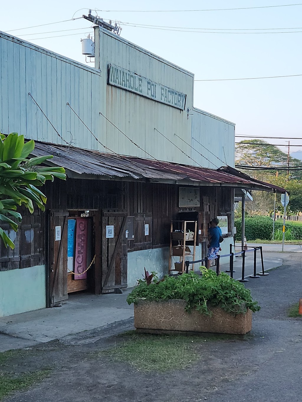 Waiahole Poi Factory | 48-140 Kamehameha Hwy, Kaneohe, HI 96744, USA | Phone: (808) 239-2222