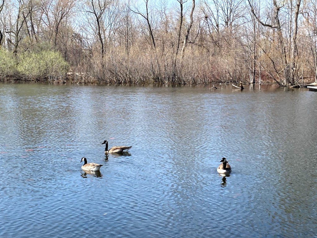 Sadlers Pond Nature Park | 182 Forest Ave, Essex, ON N8M 2G6, Canada | Phone: (519) 776-7336