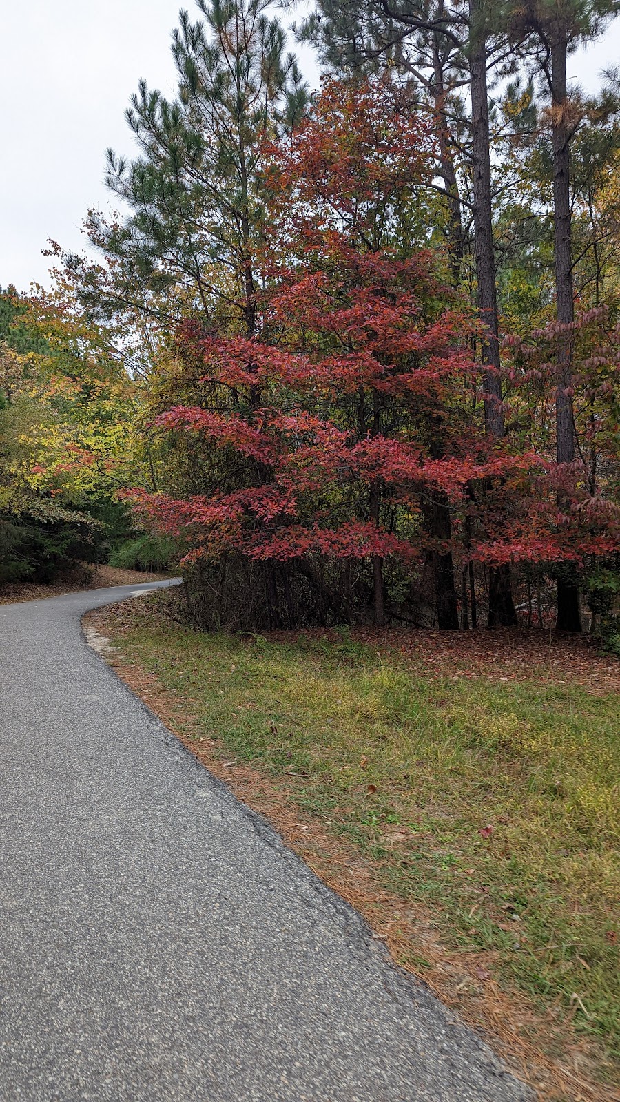 Virginia Capital Trail Start | Williamsburg, VA 23185, USA | Phone: (804) 783-7450