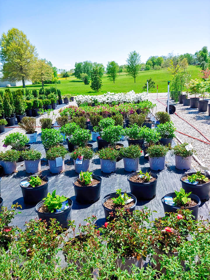 Summers Nursery & Landscape | 3099 Mt Eden Rd, Shelbyville, KY 40065, USA | Phone: (502) 648-4592