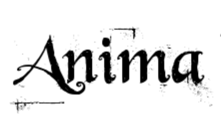 Anima Body Art | 907 Main St NW, Elk River, MN 55330, USA | Phone: (763) 328-4005