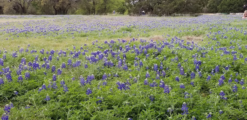 Cedar Pavilion | 3300 Brushy Creek Rd, Cedar Park, TX 78613, USA | Phone: (512) 401-5500