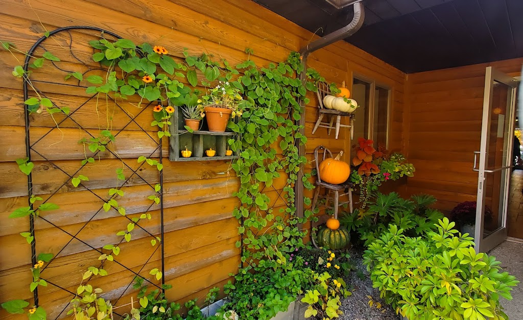 Bittersweet Cafe | 205 Farmington-Ohiopyle Rd, Farmington, PA 15437, USA | Phone: (724) 329-4411