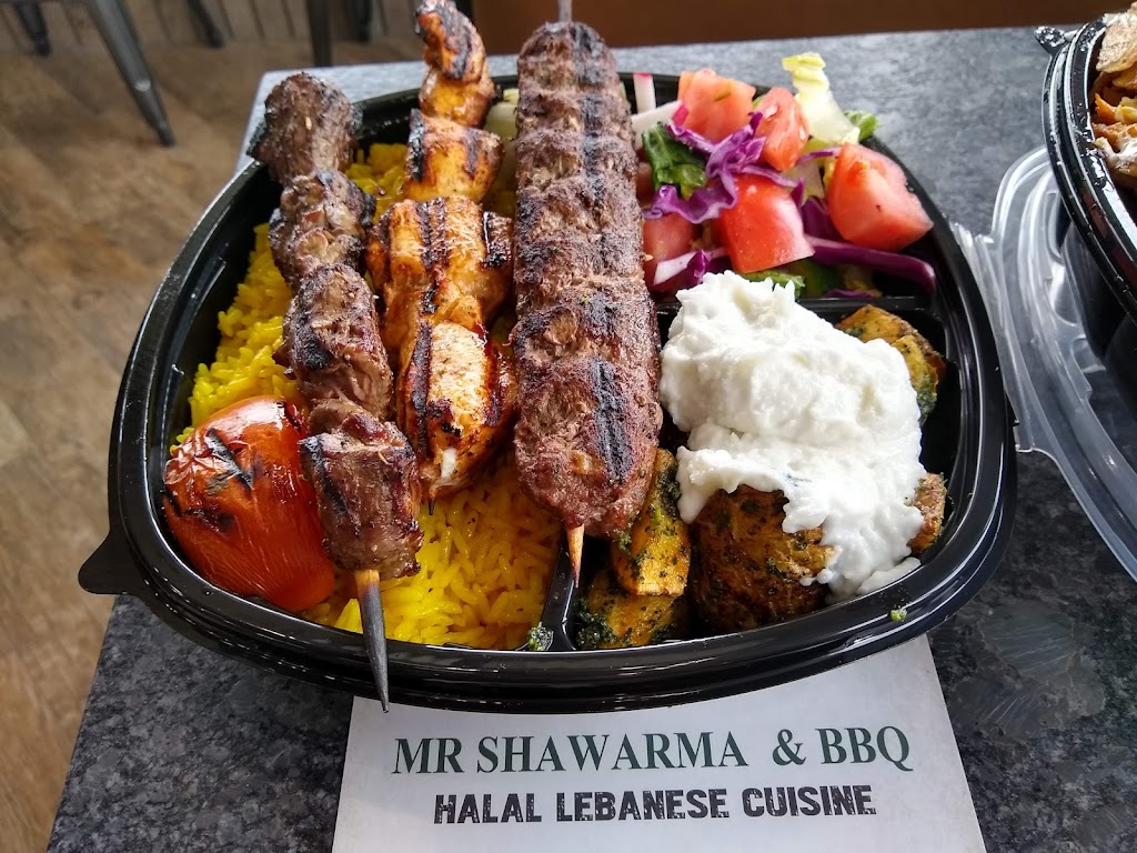 Mr Shawarma & Bbq | 3116 Van Horn Rd, Trenton, MI 48183, USA | Phone: (734) 486-8686