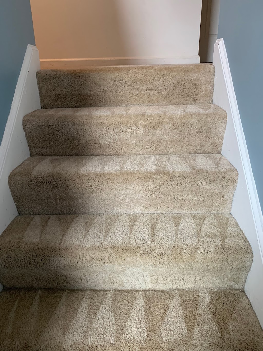 Carpet Cleaning of Memphis | 6757 Franie Ln, Lakeland, TN 38002 | Phone: (901) 482-5892