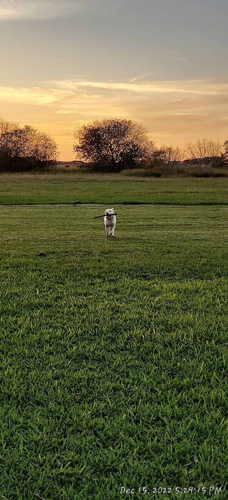 Gateway Manufactured Housing Community | 1545 N Lexington Blvd, Corpus Christi, TX 78409, USA | Phone: (361) 289-1191