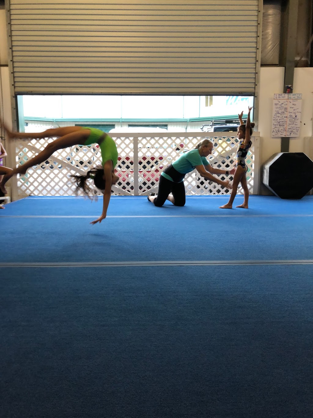 Oahu Gymnastics and Ninja | 201 Kapaa Quarry Pl, Building 51, Kailua, HI 96734, USA | Phone: (808) 261-9141