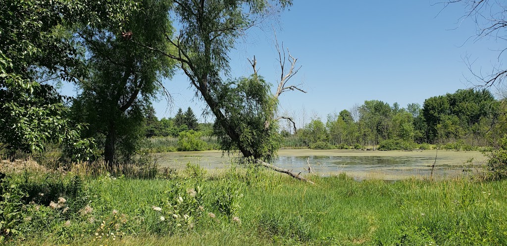William J. Robertson Nature Preserve | 85 Morning Star Dr, Rittman, OH 44270, USA | Phone: (330) 925-2045