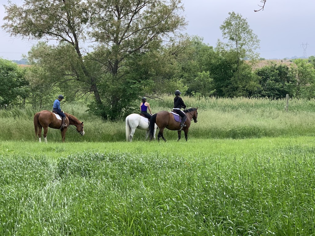 Briarstone Riding Academy | 3924 Floraville Rd, Waterloo, IL 62298 | Phone: (618) 719-9959