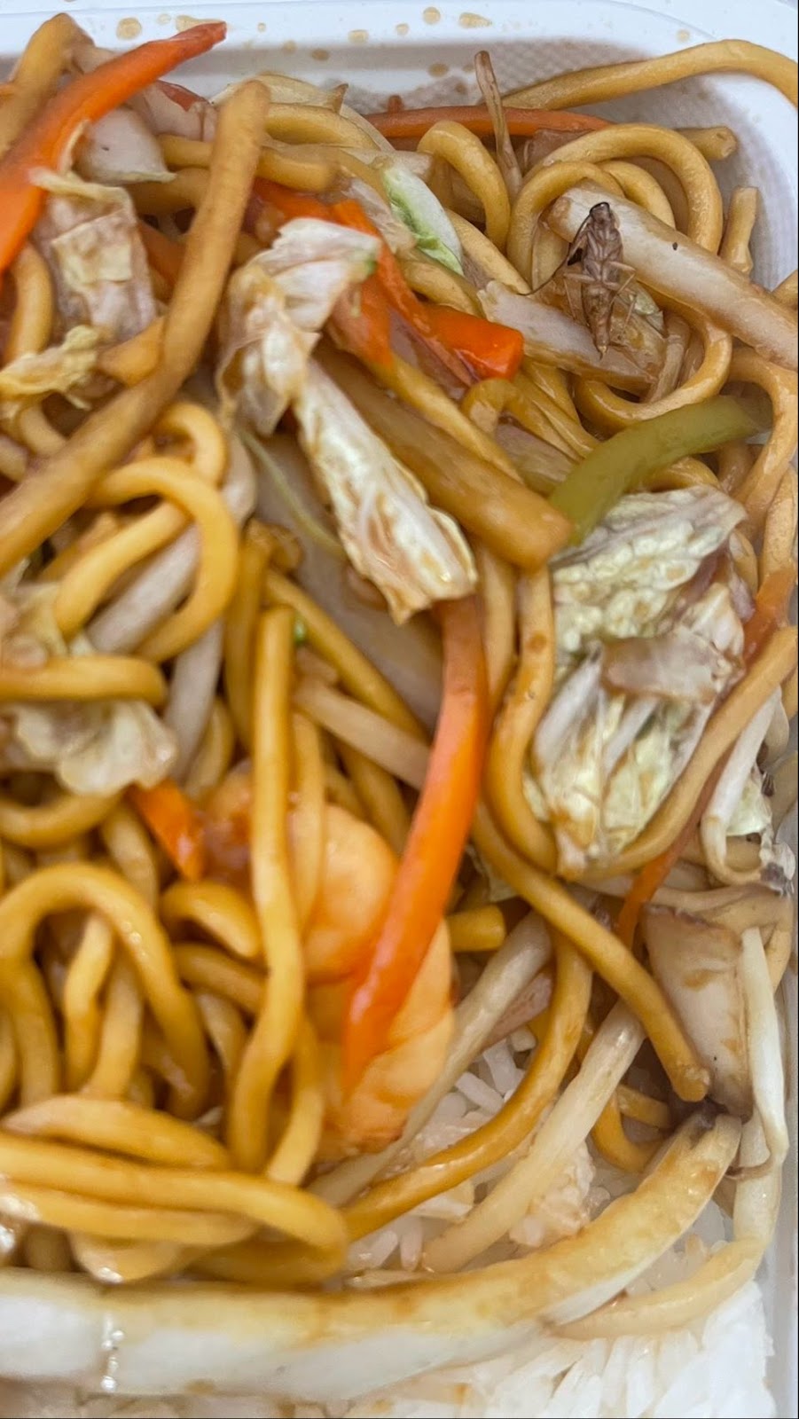 Panda Chinese Food | 639 Jericho Turnpike, Syosset, NY 11791, USA | Phone: (516) 921-5555