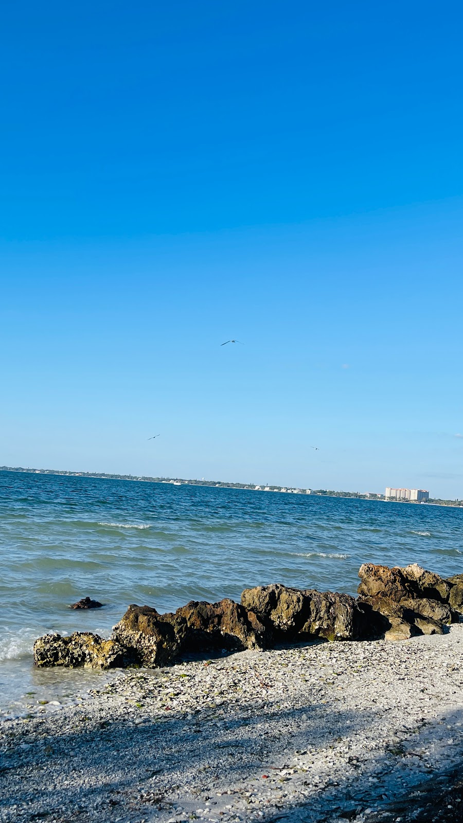 Bird Key Park | 761 FL-789, Sarasota, FL 34236, USA | Phone: (407) 376-0312