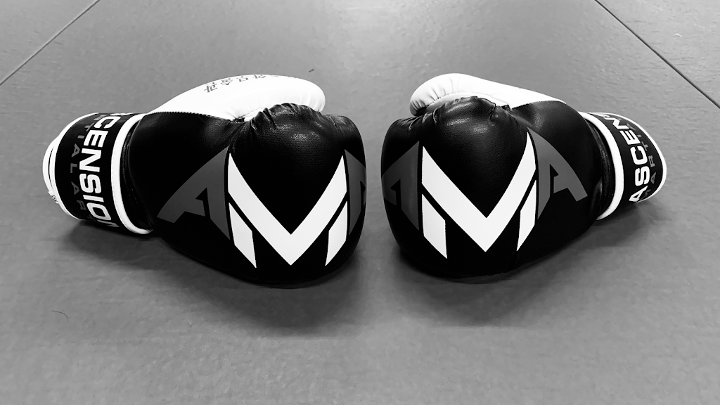 Ascension Martial Arts | AMA - Taekwondo, BJJ Jiu-Jitsu & Kickboxing | 200 E Oak St, Oak Creek, WI 53154, USA | Phone: (414) 856-9100