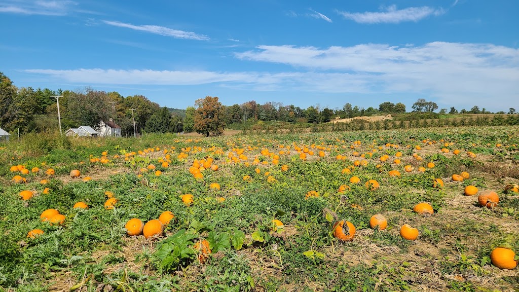 Melicks Town Farm - Califon Orchards | 472 County Rd 513, Califon, NJ 07830, USA | Phone: (908) 832-2905