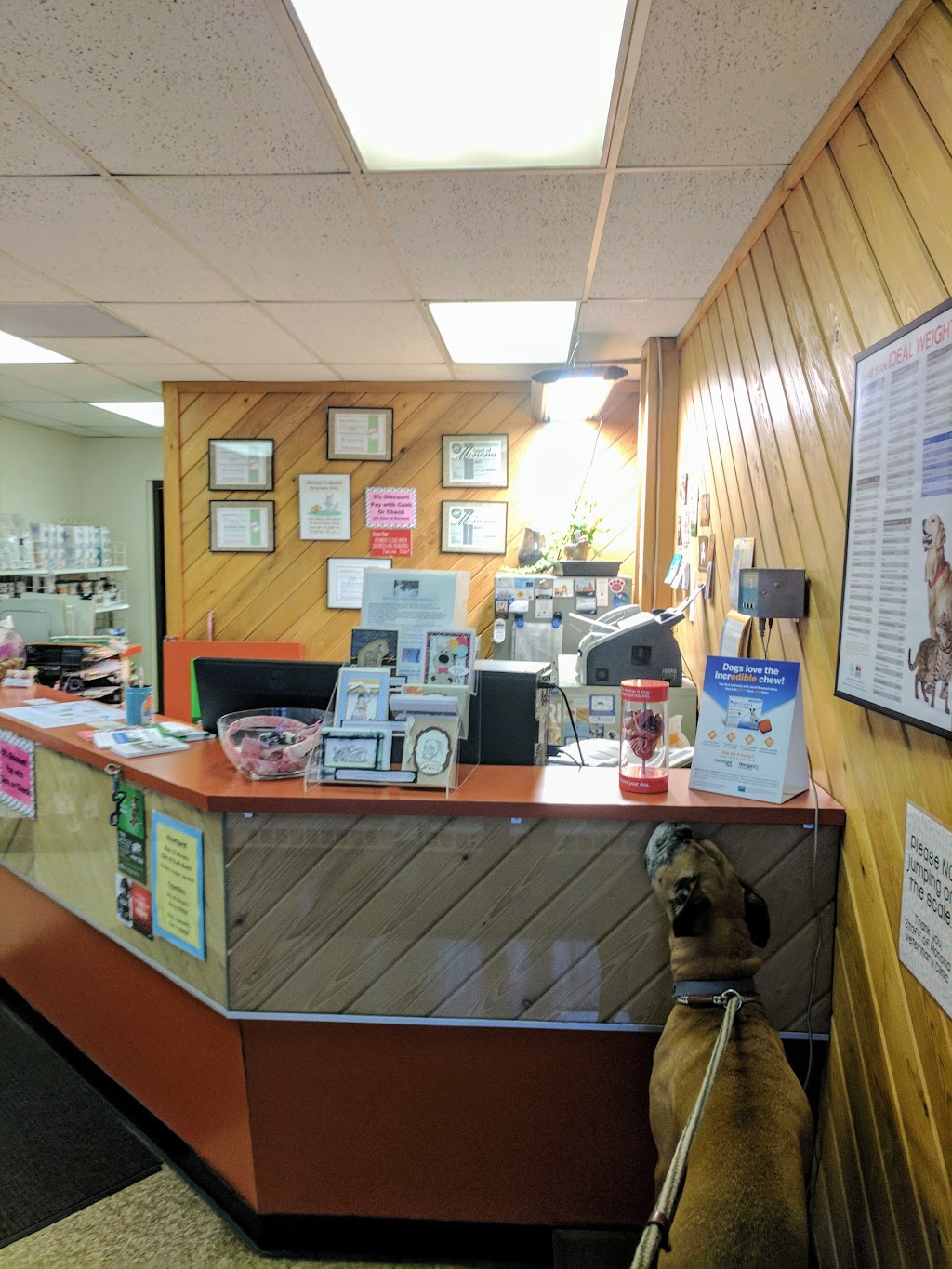 Monona Veterinary Clinic | 5223 Monona Dr, Monona, WI 53716, USA | Phone: (608) 222-9342