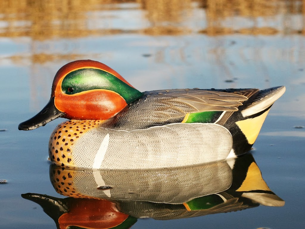 Ben Heinemann Decoys | Cardens Creek Dr, Durham, NC 27712, USA | Phone: (919) 219-3545